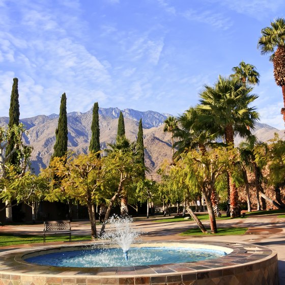 Average Temperature of Palm Springs