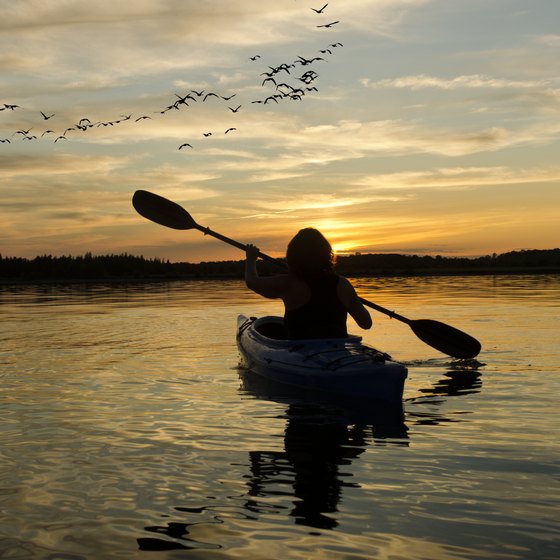 Kayaking the Cape Fear River in NC