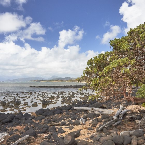 Things to Do in Kapaa, Kauai