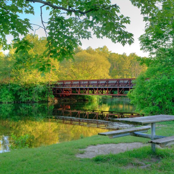 Beaches Near Ann Arbor, Michigan