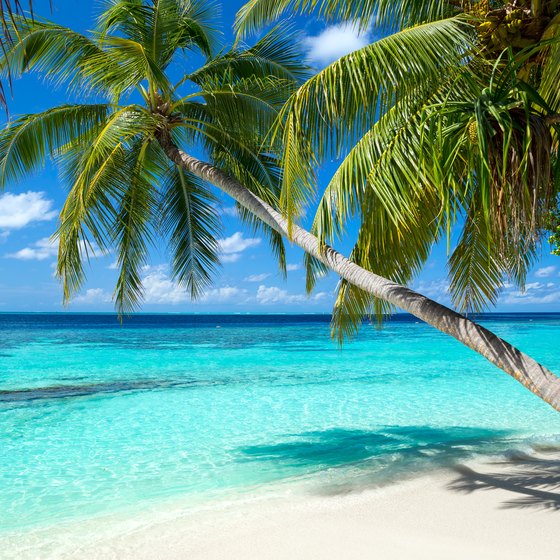 All Inclusive Bahamas >> All Inclusive Resorts With Casinos In The Bahamas Usa Today All Inclusive Bahamas >> All Inclusive Resorts With Casinos In The Bahamas Usa Today