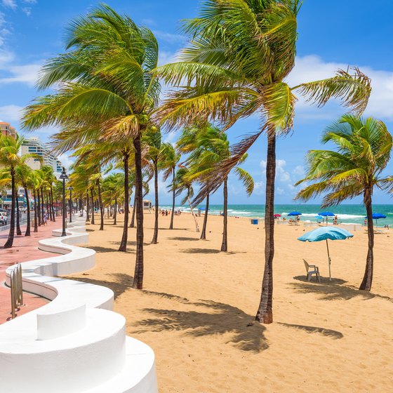 Beaches to Visit in Greater Fort Lauderdale