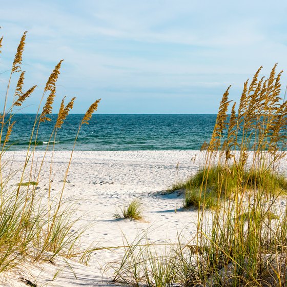 Popular Beaches in Alabama