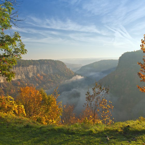 Cabins In Letchworth State Park