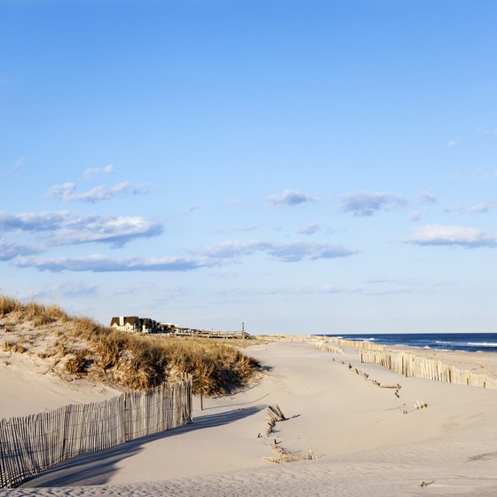 Swimming in the Hamptons