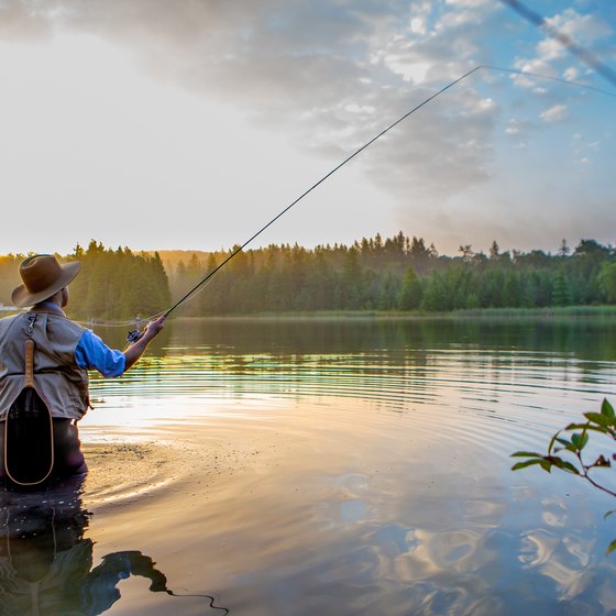 Fishing in Baldwin, Michigan