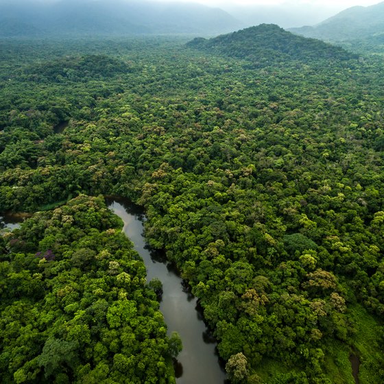 Introduction To The Amazon Rainforest