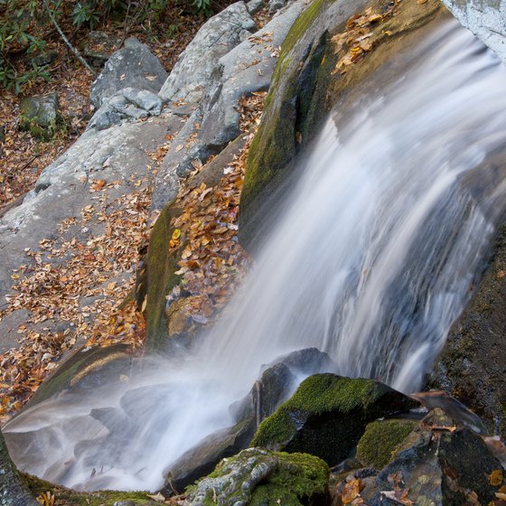 Is Fishing Permitted on the Little Pigeon River in Pigeon Forge, Tennessee?