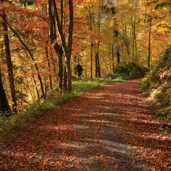 Scenic Drives With Fall Foliage in Nebraska USA Today