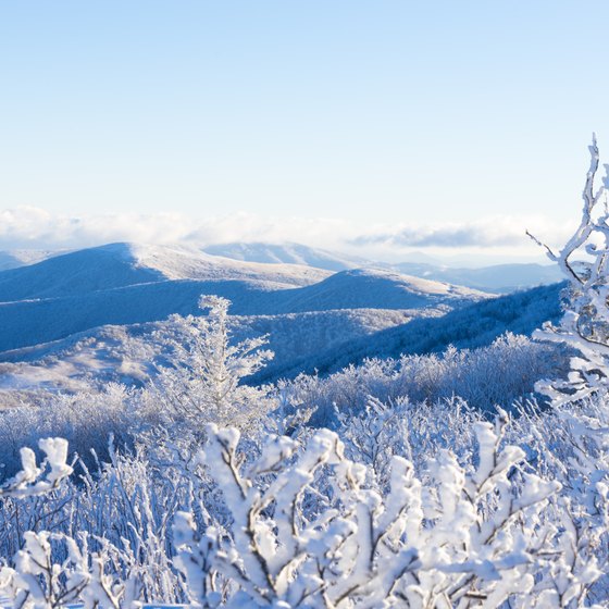 Winter Vacation Cabins in North Carolina