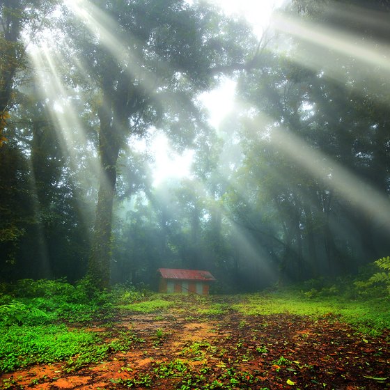 Cabins at Starved Rock State Park in Illinois | USA Today