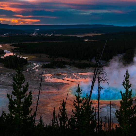 The Top Places to Eat in Yellowstone National Park | USA Today