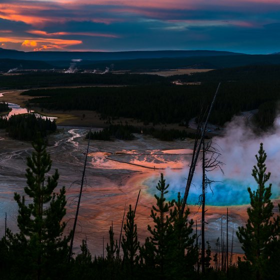 How to Travel in Yellowstone With Kids