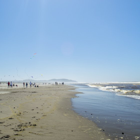 How to Camp in Long Beach, Washington