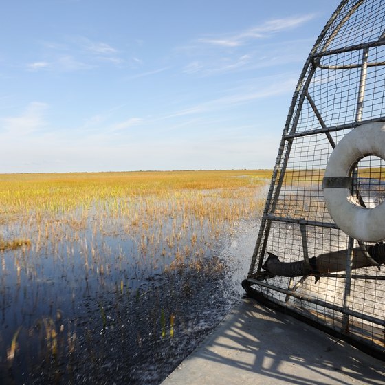 Airboat Tours in Everglades National Park