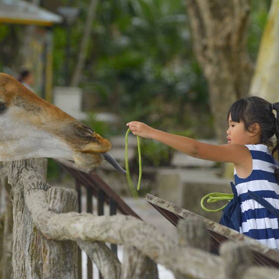 Attractions for Kids in Lafayette, Louisiana | USA Today