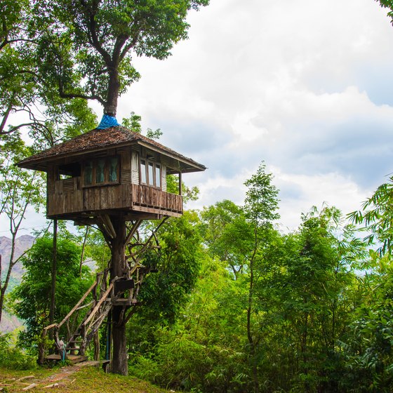 Treehouse Camping in New Jersey