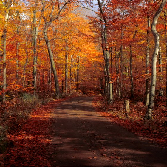 How To See Fall Colors In Door County