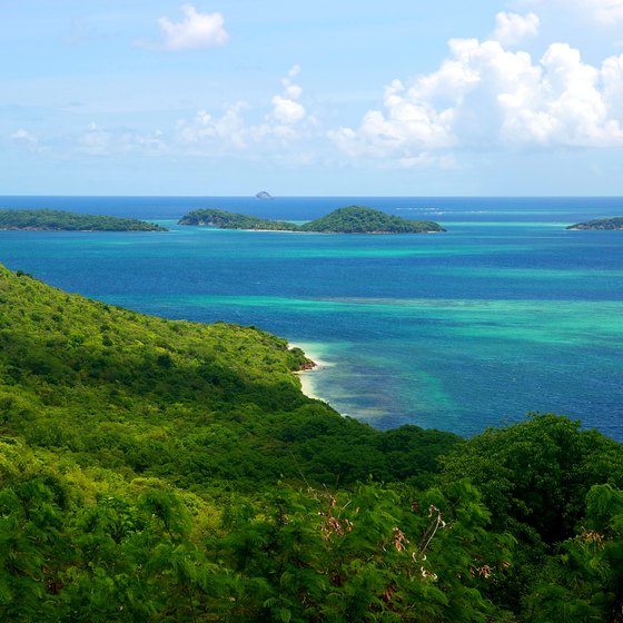 Food That is Served in St. Vincent & the Grenadines