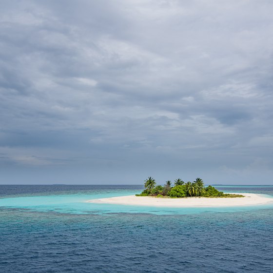 how to purify water on a deserted island