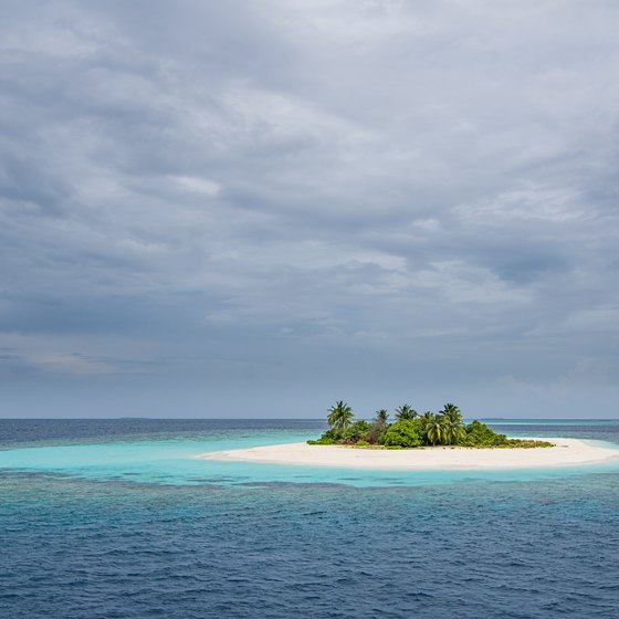 Survival Guide on a Deserted Island | USA Today