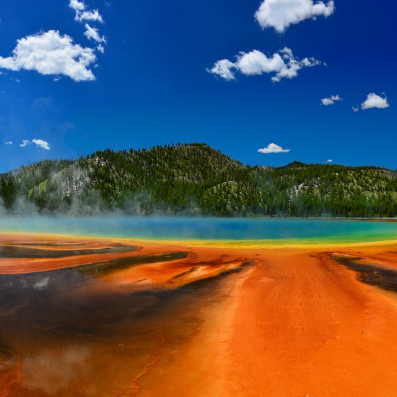 What Is the Weather Like in Yellowstone National Park During Mid-May