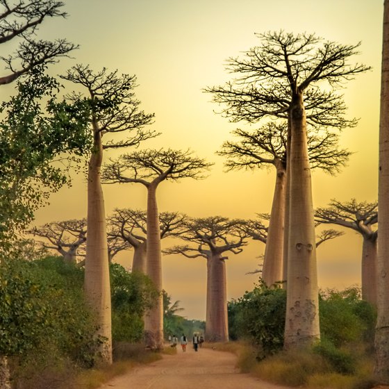 Famous Landmarks in Madagascar