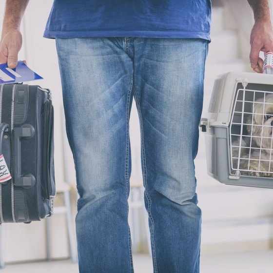 Airline Requirements For A Pet Carrier Usa Today