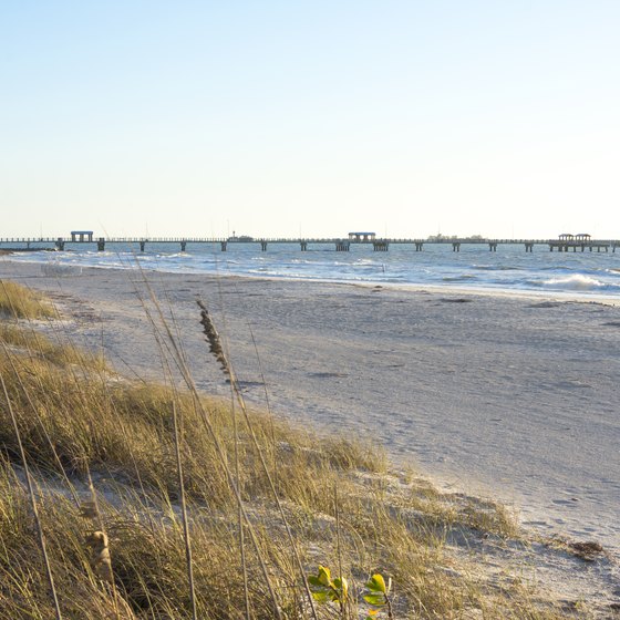 Snorkeling at Fort De Soto Park in Florida