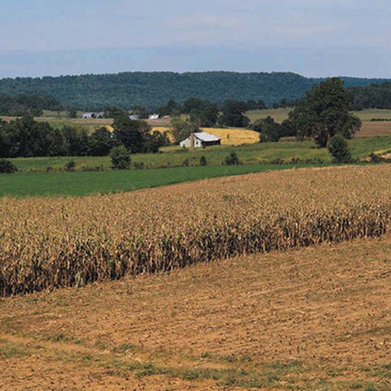 Plan a trip to a Kentucky farm to learn about the region's agricultural history.