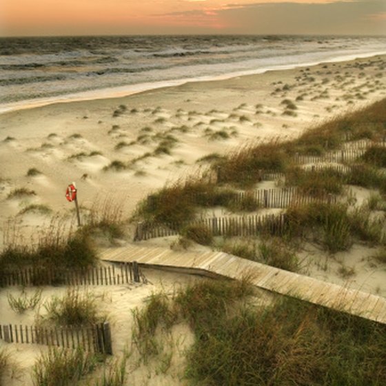 The barrier beaches near Wilmington commonly feature dune habitats.