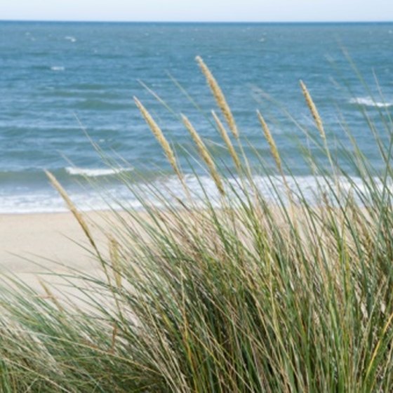 Explore the sandy beaches along Ireland's coast.