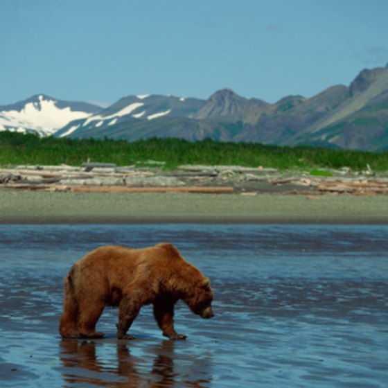 The way to Alaska from Vancouver offers some of the most spectacular scenery in North America.