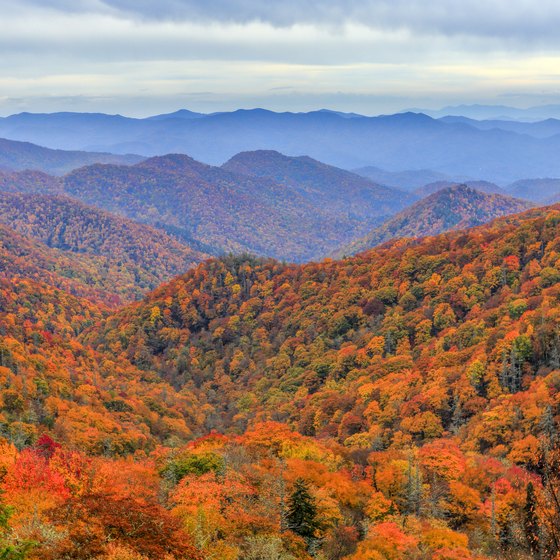 Great Smoky Mountains National Park Rustic Cabins