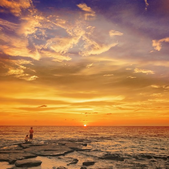 Tropical Snorkeling Near Sarasota Beach, Florida | USA Today