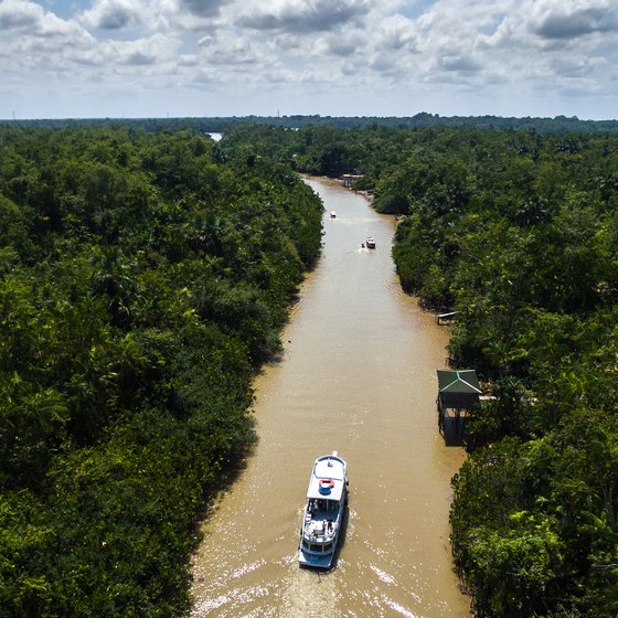 Landforms Along the Amazon River