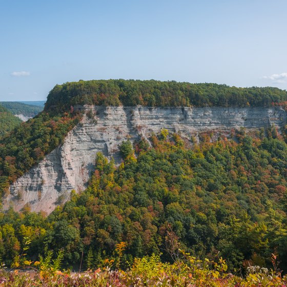 Activities in Letchworth State Park