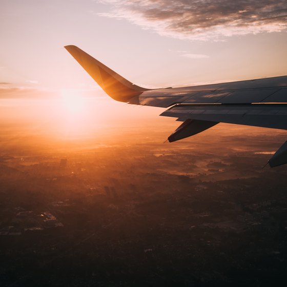 How to Transport Flowers on a Plane