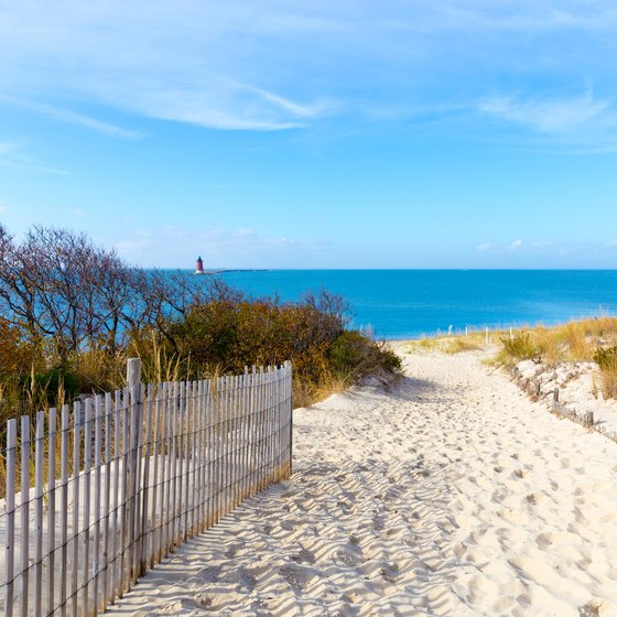 Beaches Near Lewes, Delaware