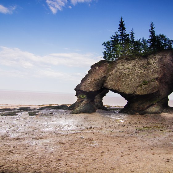 Camping Near the Bay of Fundy