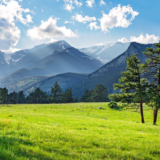 Luxury Lodging in Estes Park, Colorado