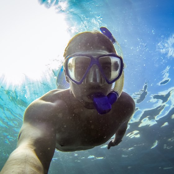 Snorkeling Around Islands Near Charleston, SC