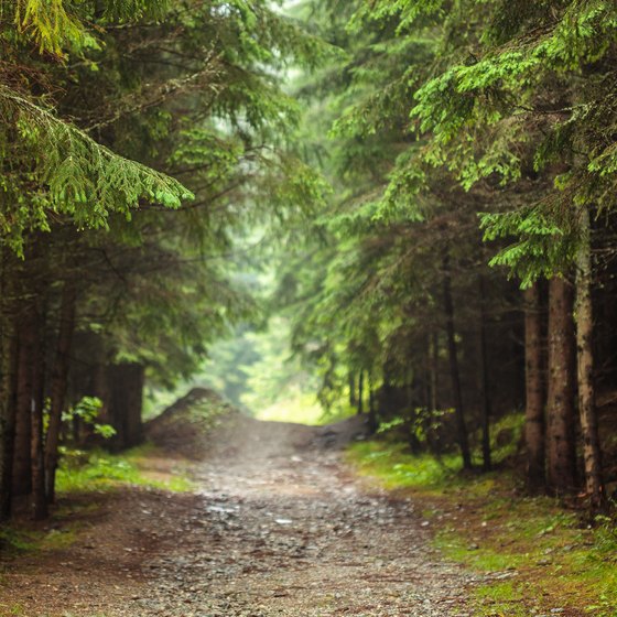 Jeep Trails Near Eureka Springs, Arkansas