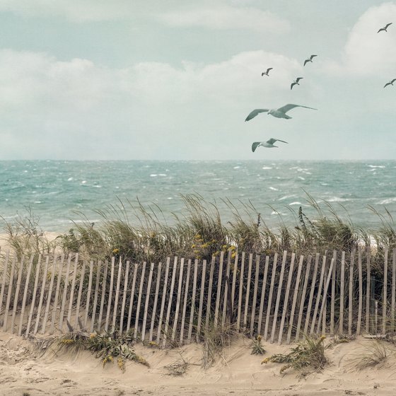 Beaches in Brant Rock, MA