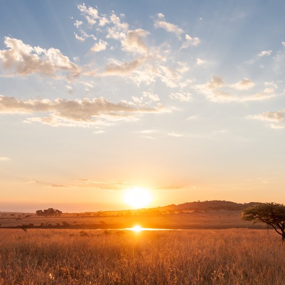 The Plants & Animals of Sudan