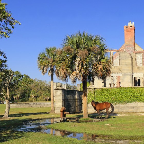 Attractions in Kings Bay, Georgia