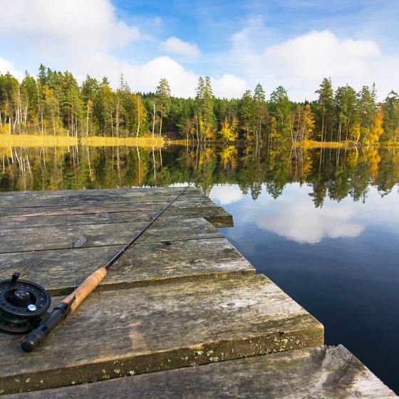 Freshwater Fishing Near Seabrook, Texas