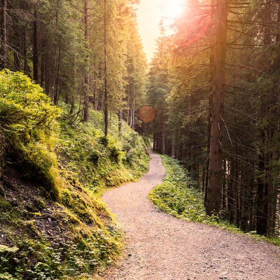 Hiking Trails Near Lincoln City, Oregon