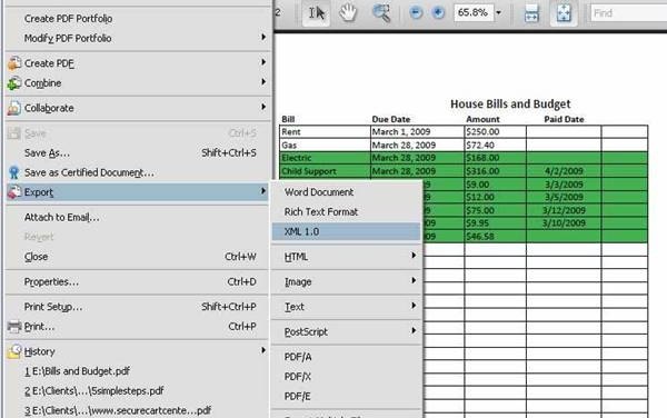 Cómo convertir documentos PDF en Excel (En 8 Pasos)