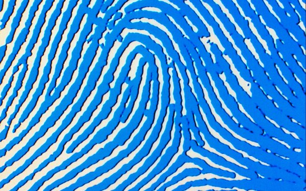 ¿Cuáles son las ventajas y desventajas de la identificación biométrica?